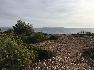 PloPlot with sea view in Cala Pi