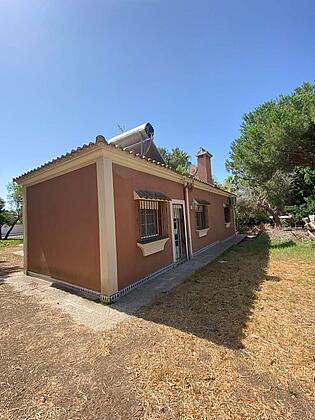 IMG_1960