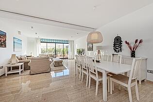 Living/dining room
