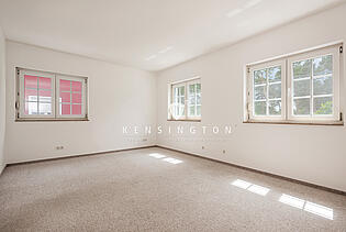 Zimmer I