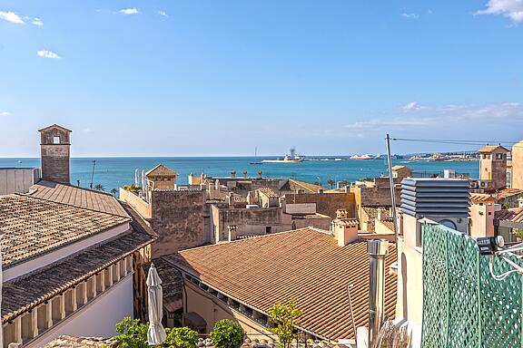 View rooftop terrace