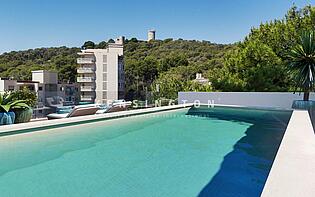 Penthouse rooftop pool