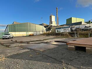 IMG_2494 (1)