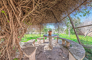 Finca in Puntiró Mallorca-garden