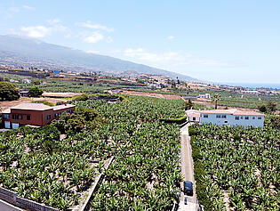 DJI_0484