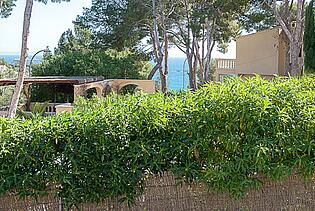 Sea views Sol de Mallorca