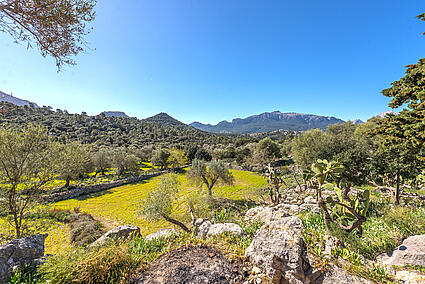 Finca-Escorca-Panoramica vistas