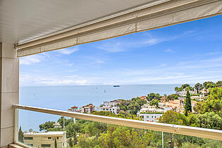 Sea views in Bendinat