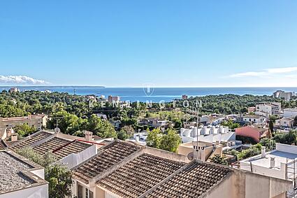 View rooftop terrace