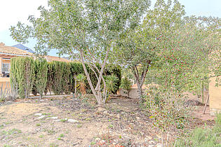 patio 3