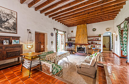 Finca in Puntiró Mallorca-living room