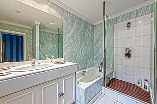 Master bathroom