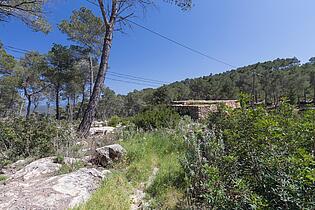 KPI1385 Finca en venta - Finca zu verkaufen - Finca for sale - Finca te koop - www.kensington-ibiza.com - Noelle Politiek