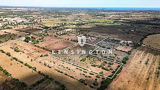 KPSO598_birdseye-marked