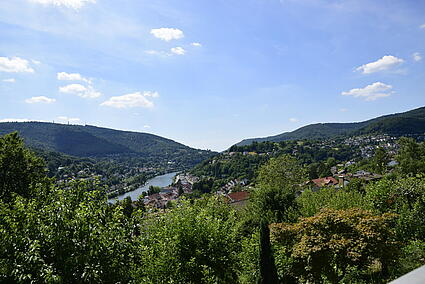 Blick
