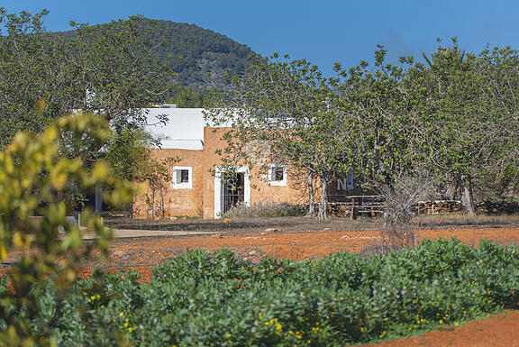 KPI1164 - Finca en venta - Finca zu verkaufen - Finca for sale - Finca te koop - www.kensington-ibiza.com - Noelle Politiek KPI1164 - Finca en venta - Finca zu verkaufen - Finca for sale - Finca te koop - www.kensington-ibiza.com - Noelle Politiek