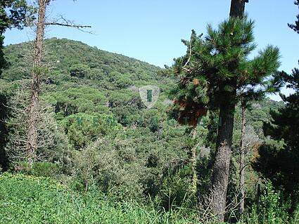 parc6