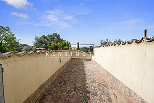 2023_09_5_0564 