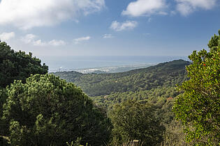 passatge mirador_13