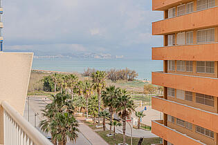 vistas 1