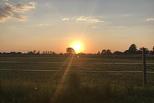 Ausblick am Abend