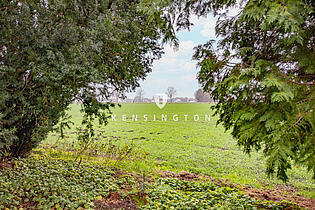 **Garten Blick aufs Feld_KBR_557