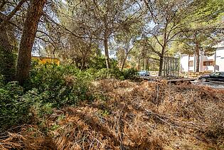 4 plot santa ponsa