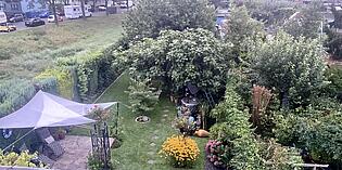 Garten Sommer
