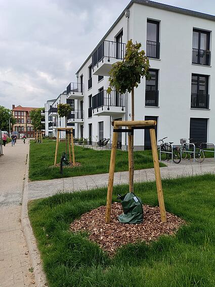Anlage