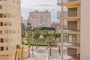 vistas 6