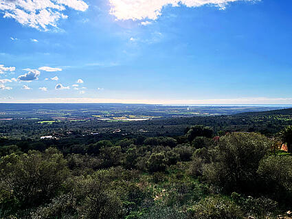 View towards the south