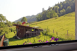 KZO00014 4.5 Zimmer Einfamilienhaus in Bäretswil - Blick auf Kleintierstall