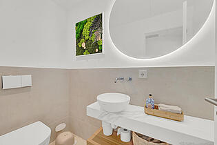 Guest toilet