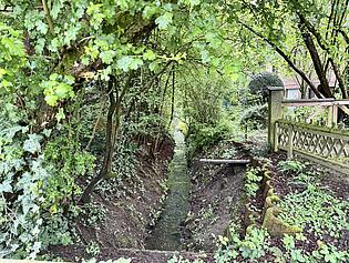 Bach nahes Umfeld
