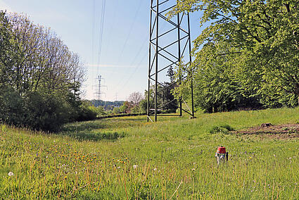 Teilansicht Parzelle 1