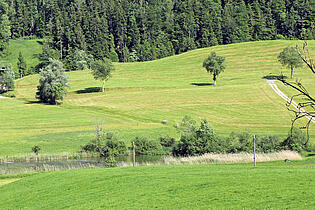 KZO00014 4.5 Zimmer Einfamilienhaus in Bäretswil - Aussicht
