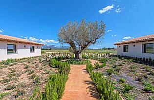 Finca in Santa Maria ,Mallorca - garten 