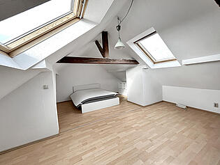 Zimmer DG