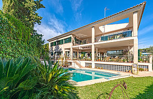 Villa in Palma pool