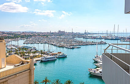 Palma-Apartment-Blick auf Paseo Maritimo