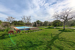 Garden & pool