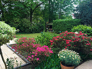 Blickrichtung Garten (Sommer)