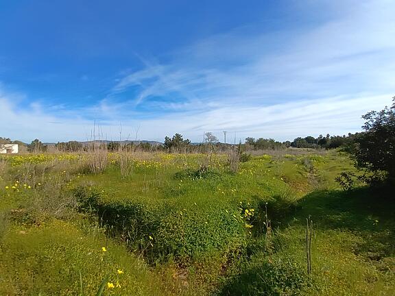 KPI1391 - Terreno en venta - Grundstück zu verkaufen - Plot for sale - Plot te koop - www.kensington-ibiza.com - Noelle Politiek KPI1391 - Terreno en venta - Grundstück zu verkaufen - Plot for sale - Plot te koop - www.kensington-ibiza.com - Noelle Politiek