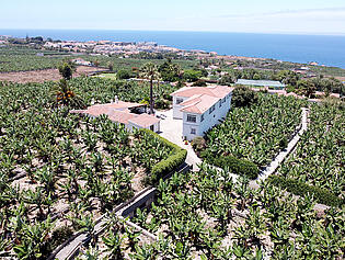 DJI_0493 (1)