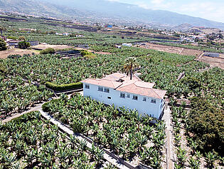 DJI_0489 (1)