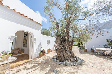 KPI1379 - Finca en venta - Finca zu verkaufen - Finca for sale - Finca te koop - www.kensington-ibiza.com - Noelle Politiek