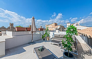 Wohnung in Palma de Mallorca - Dachterrasse