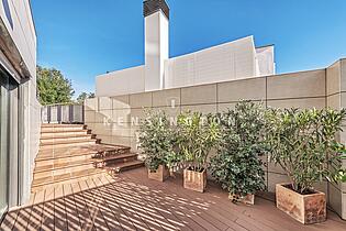 Terrace in front of living room