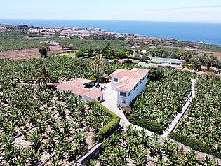 DJI_0492 (1)