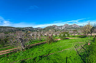 Haus in Bunyola Mallorca-bergblick